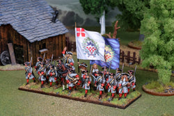 DB1 Danish Battalion Marching