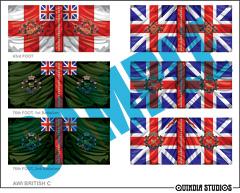 AWI22 British Foot C - Warfare Miniatures USA